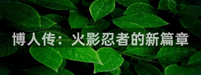 樱花漫画4：博人传：火影忍者的新篇章