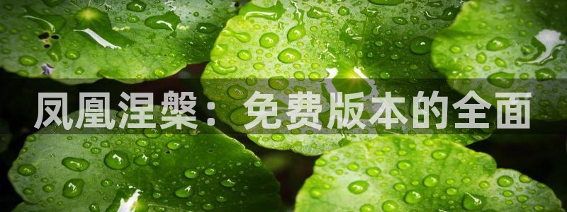 无颜之月免费观看樱花漫画：凤凰涅槃：免费版本的全面